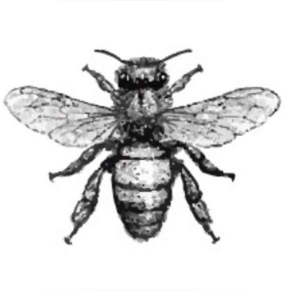 kaabee3